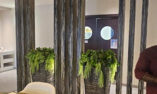 WhatsApp Image 2025-03-07 at 11.46.05 AM