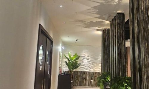 WhatsApp Image 2025-03-07 at 11.46.07 AM (1)