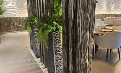 WhatsApp Image 2025-03-07 at 11.46.08 AM